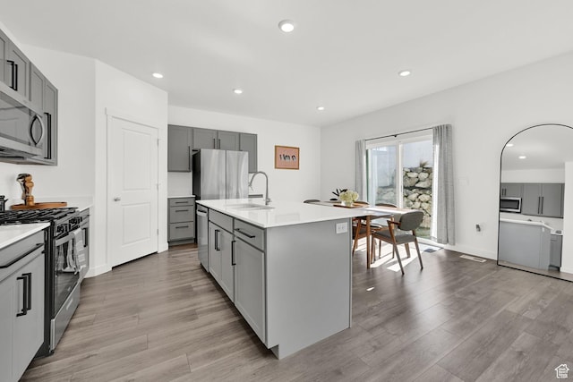 kitchen featuring gray cabinets, a sink, stainless steel appliances, and wood finished floors
