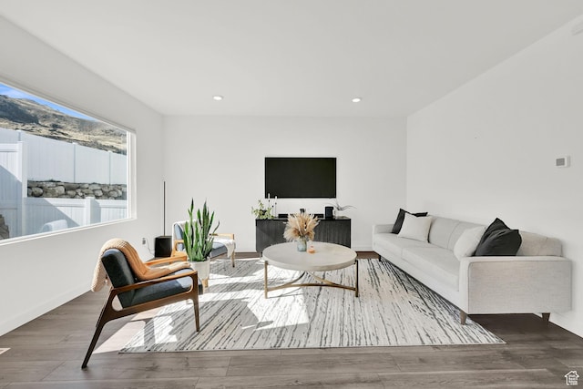 living area featuring recessed lighting and wood finished floors
