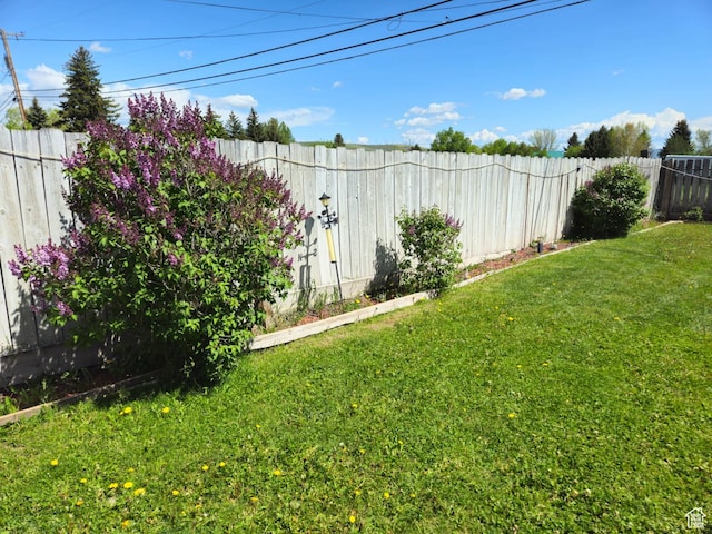 613 Jefferson St, Montpelier, ID 83254 - view of yard