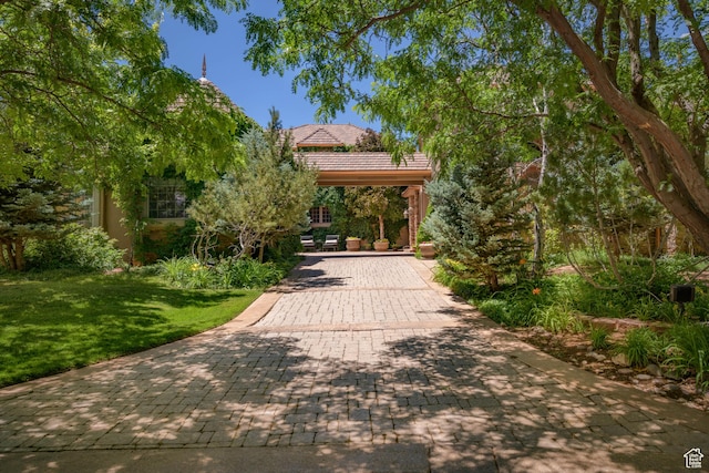 290 E 200 S, Parowan, UT 84761 - view of home's community featuring a lawn