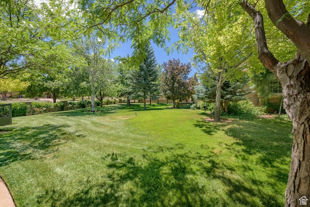290 E 200 S, Parowan, UT 84761 - view of yard