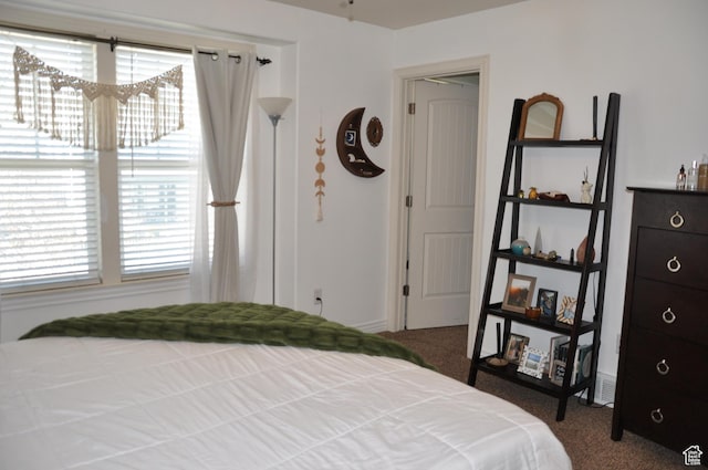 10611 S Oquirrh Lake Rd W, South Jordan, UT 84009 - bedroom with carpet flooring