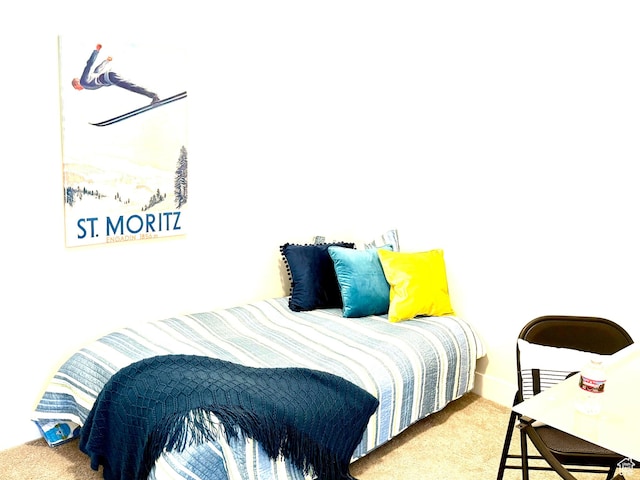 bedroom with carpet floors