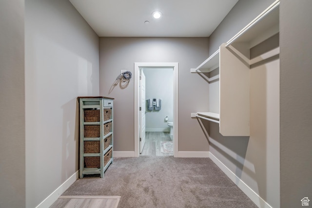 walk in closet with carpet floors