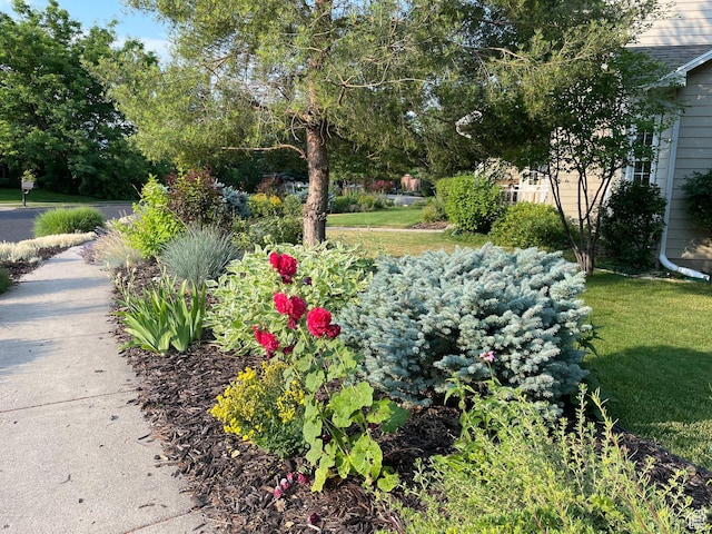 243 Eastridge E, Logan, UT 84321 - view of yard