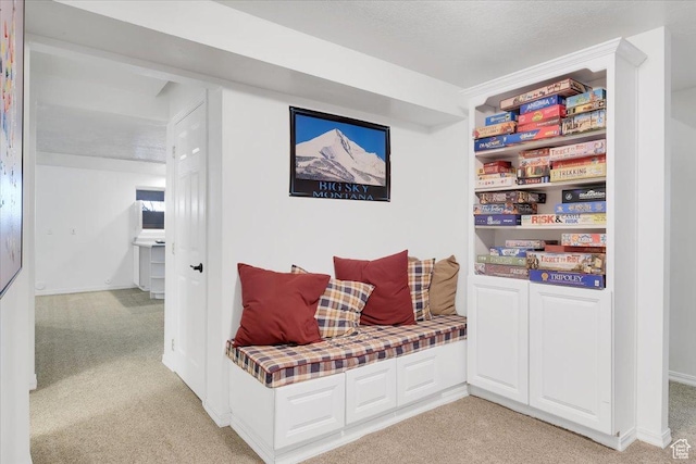243 Eastridge E, Logan, UT 84321 - interior space featuring light carpet and a textured ceiling