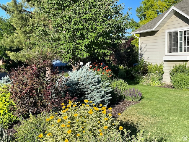 243 Eastridge E, Logan, UT 84321 - view of yard