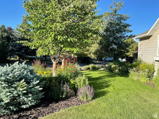 243 Eastridge E, Logan, UT 84321 - view of yard