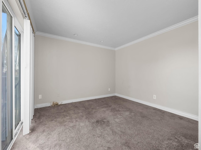177 S 1050 W Unit 19, Provo, UT 84601 - empty room with baseboards, carpet, and crown molding