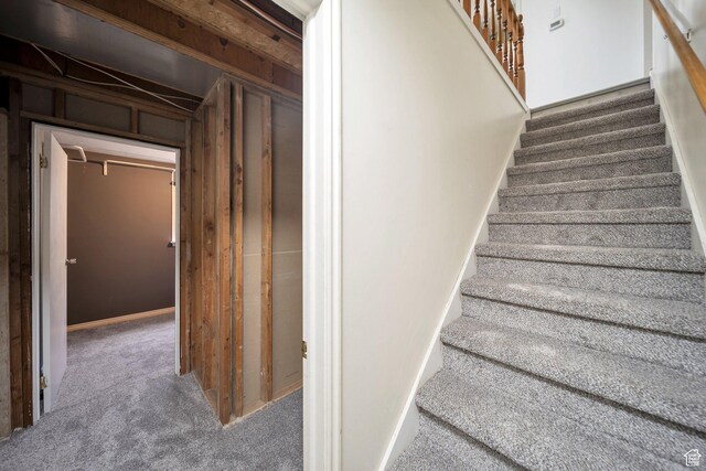 staircase with carpet flooring