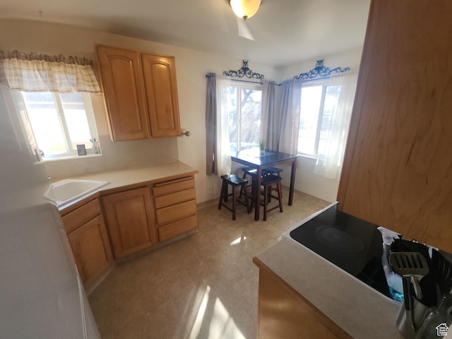 1105 9th St, Ogden, UT 84404 - kitchen with healthy amount of natural light, a sink, cooktop, and light countertops