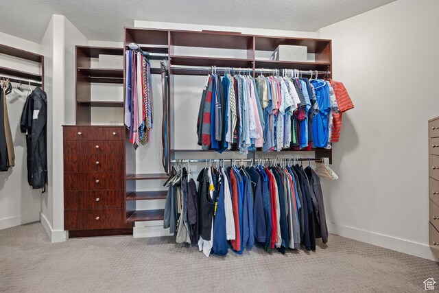 267 E Lucky Star Way, Farmington, UT 84025 - spacious closet with carpet