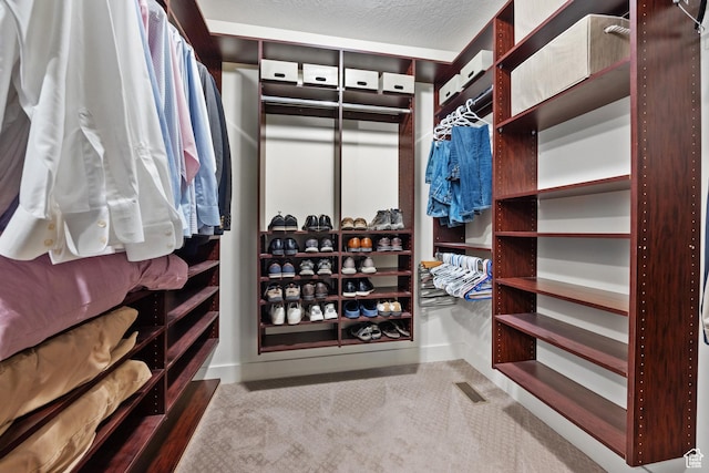 267 E Lucky Star Way, Farmington, UT 84025 - walk in closet with carpet floors