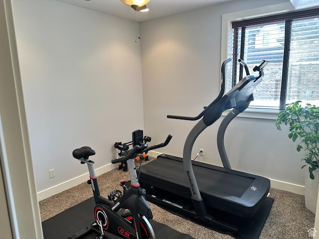 267 E Lucky Star Way, Farmington, UT 84025 - workout room with healthy amount of natural light, baseboards, and carpet flooring