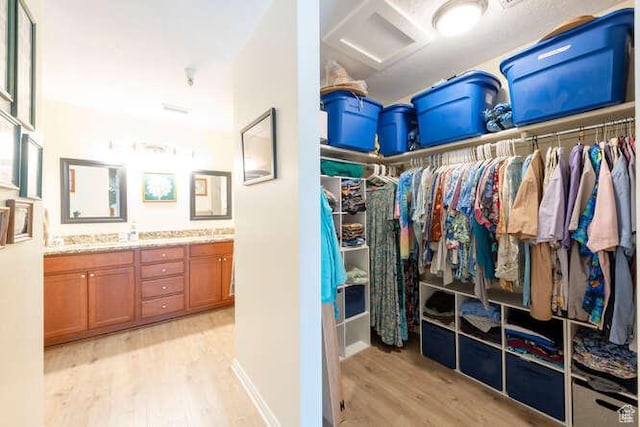 560 E S Temple N Pl 102, Salt Lake City, UT 84102 - walk in closet with light wood-style flooring and attic access