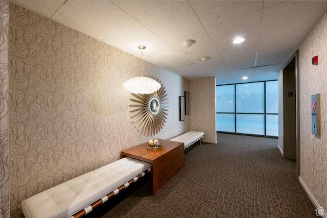 560 E S Temple N Pl 102, Salt Lake City, UT 84102 - hall with wallpapered walls, carpet flooring, and a wall of windows