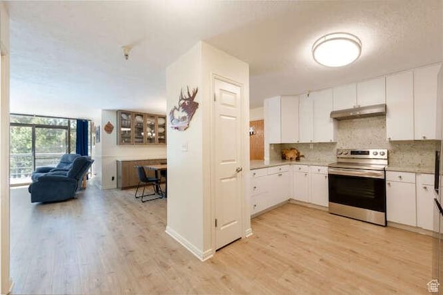 560 E S Temple N Pl 102, Salt Lake City, UT 84102 - kitchen with stainless steel range with electric stovetop, under cabinet range hood, open floor plan, tasteful backsplash, and light wood-style floors