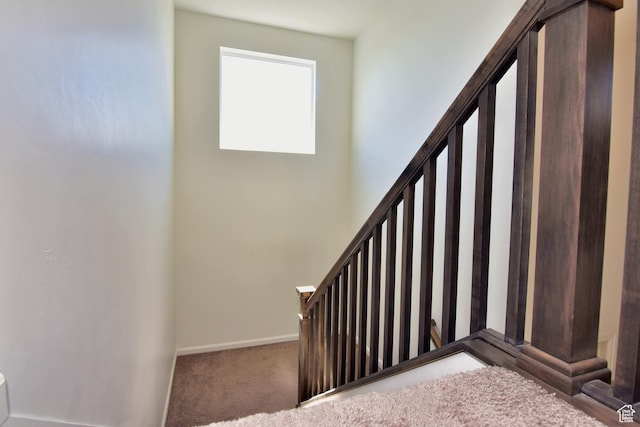 2292 N Elderberry Dr W, Saratoga Springs, UT 84045 - stairway with carpet and baseboards
