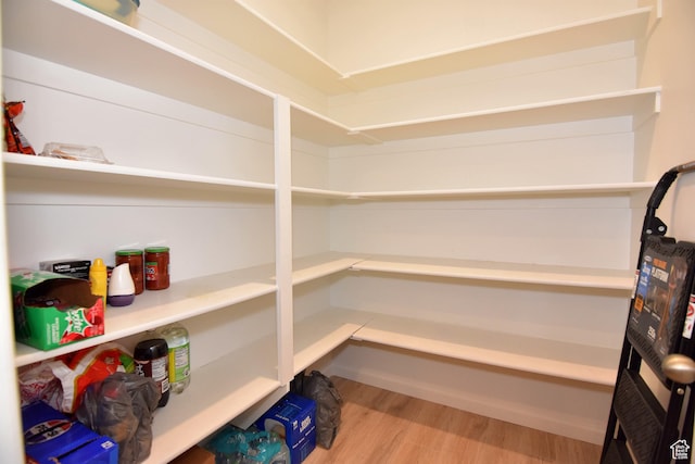 2292 N Elderberry Dr W, Saratoga Springs, UT 84045 - view of storage area