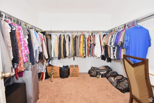 2292 N Elderberry Dr W, Saratoga Springs, UT 84045 - walk in closet with carpet floors