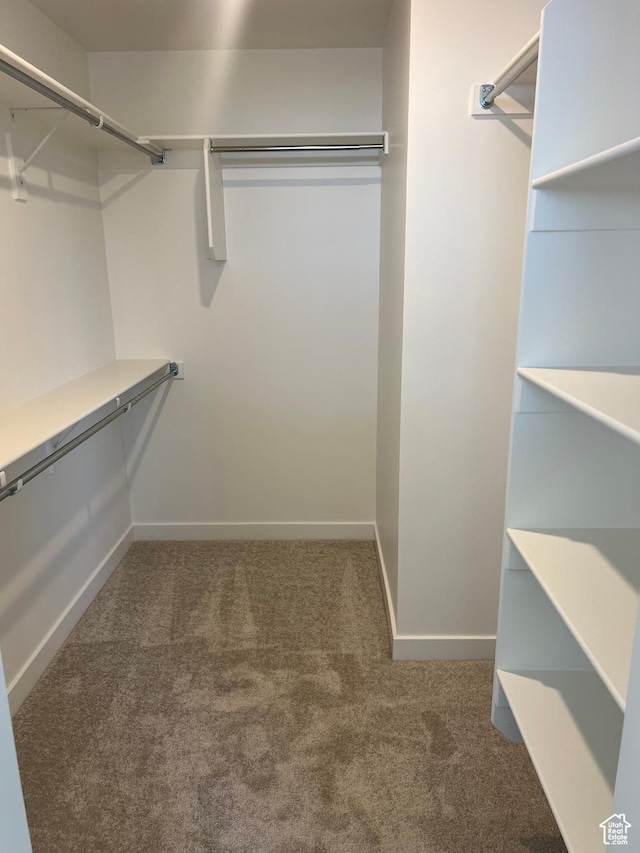 492 W Quartz Rd Unit 8019, Tooele, UT 84074 - walk in closet with carpet floors