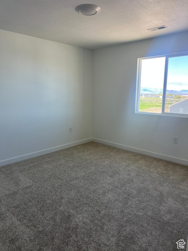 492 W Quartz Rd Unit 8019, Tooele, UT 84074 - carpeted empty room with baseboards, a textured ceiling, and visible vents