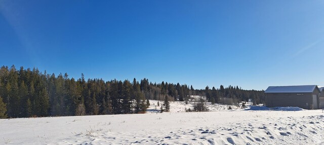 1670 Shadow Loop S Unit 13, Ashton, ID 83420