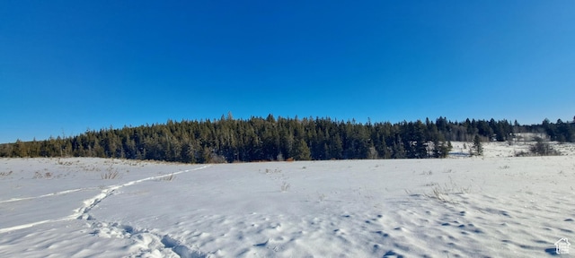 1670 Shadow Loop S Unit 13, Ashton, ID 83420