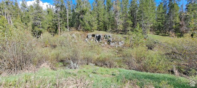 1670 Shadow Loop S Unit 13, Ashton, ID 83420