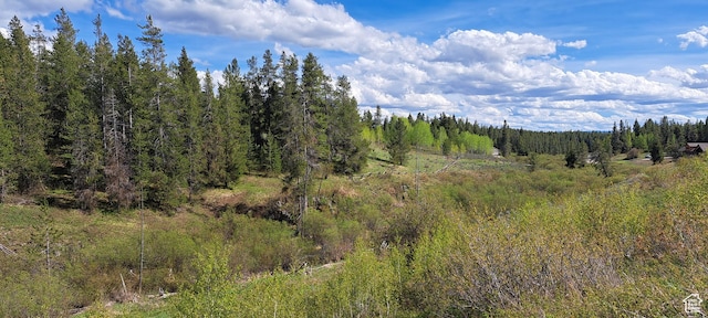 1670 Shadow Loop S Unit 13, Ashton, ID 83420