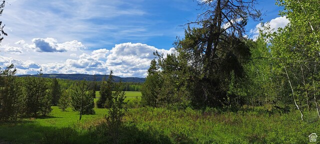 4376 Granite Rdg, Ashton, ID 83420