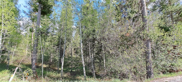 4376 Granite Rdg, Ashton, ID 83420