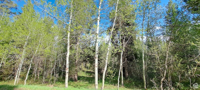 4376 Granite Rdg, Ashton, ID 83420