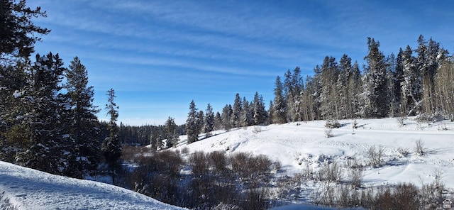 4376 Granite Rdg, Ashton, ID 83420
