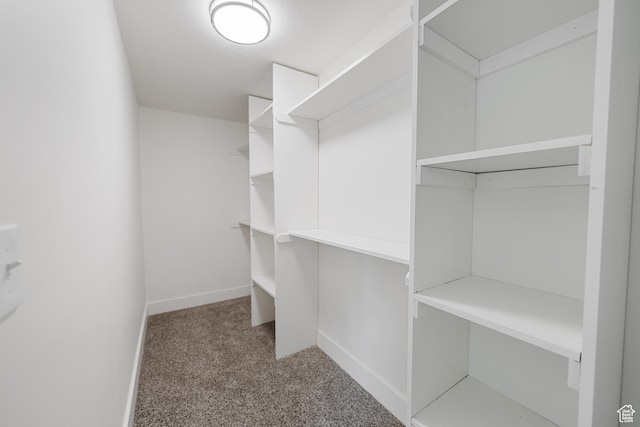 524 N 200 W, Tooele, UT 84074 - spacious closet featuring carpet floors