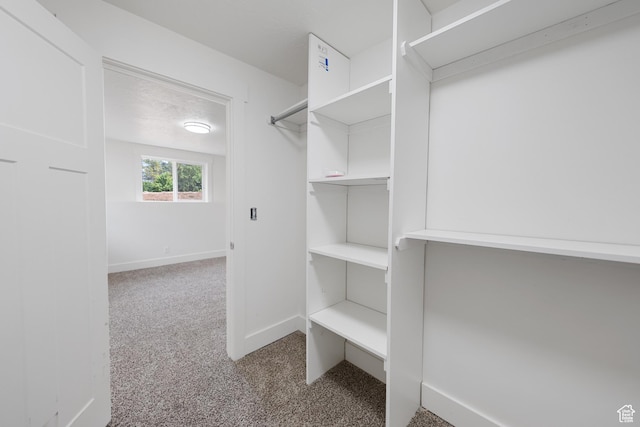 524 N 200 W, Tooele, UT 84074 - spacious closet featuring carpet floors