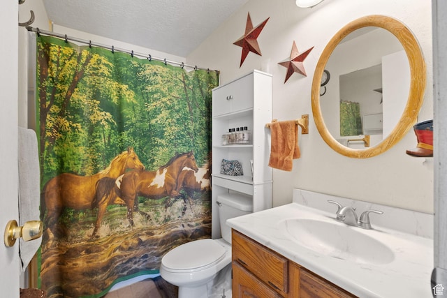 879 E Main St, Mount Pleasant, UT 84647 - full bath with a shower with shower curtain, a textured ceiling, toilet, and vanity