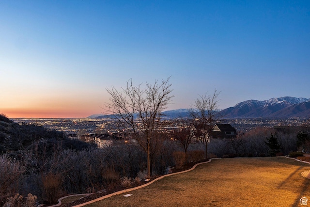 14794 S Vintage View Ln, Draper, UT 84020 - property view of mountains