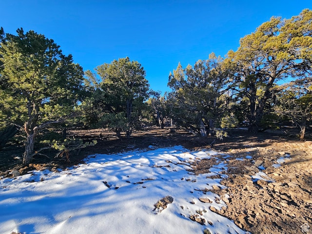Unit 11, Duchesne, UT 84021 - photo 17
