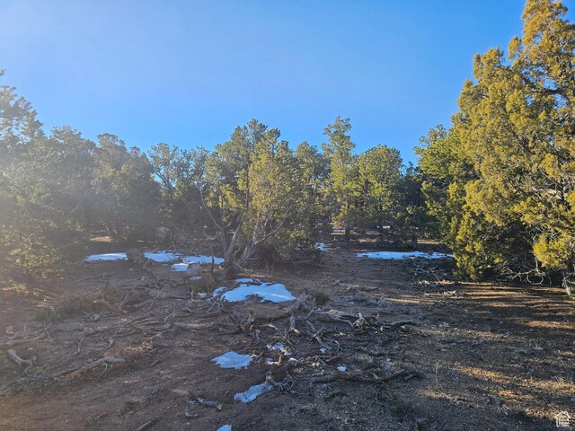 Unit 11, Duchesne, UT 84021 - photo 6