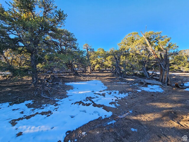 Unit 11, Duchesne, UT 84021 - photo 12