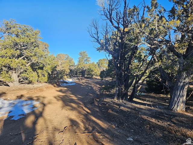 Unit 11, Duchesne, UT 84021 - photo 4