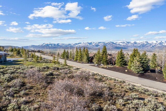 7991 N W Hills Trl Unit 2, Park City, UT 84098