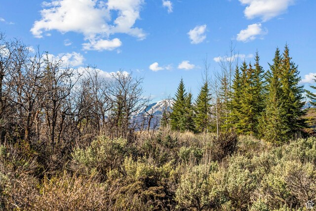 7991 N W Hills Trl Unit 2, Park City, UT 84098
