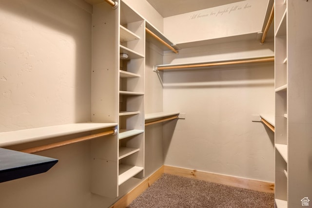 3478 E Porcupine Cir, Garden City, UT 84028 - walk in closet with carpet