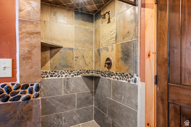 3478 E Porcupine Cir, Garden City, UT 84028 - interior details with tiled shower