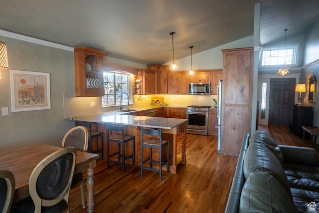 kitchen featuring a sink, wood finished floors, a kitchen breakfast bar, a peninsula, and stainless steel appliances