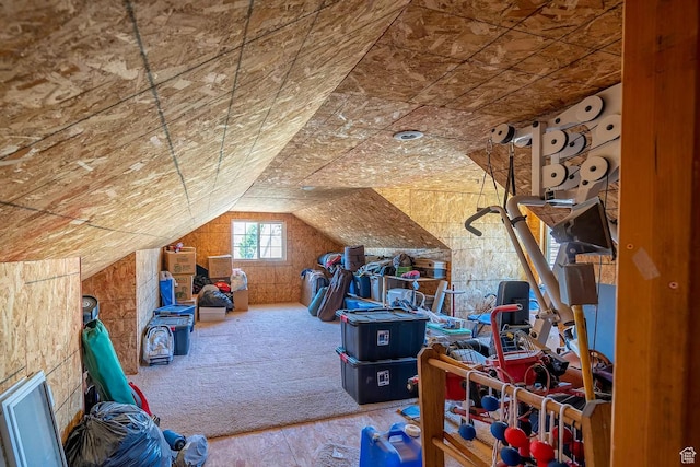 1986 Dove Dr, Santa Clara, UT 84765 - view of unfinished attic