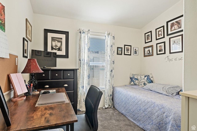 1160 E Telegraph St Unit 220, Washington, UT 84780 - carpeted bedroom featuring an office area