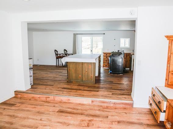 1290 Echo Crk Unit 2, Echo, UT 84024 - kitchen with light countertops, wood finished floors, and a center island